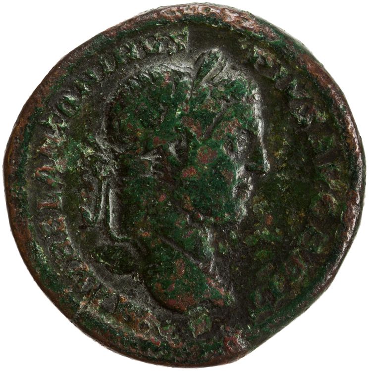 RIC IV Caracalla 479A, obverse, American Numismatic Society (ans)