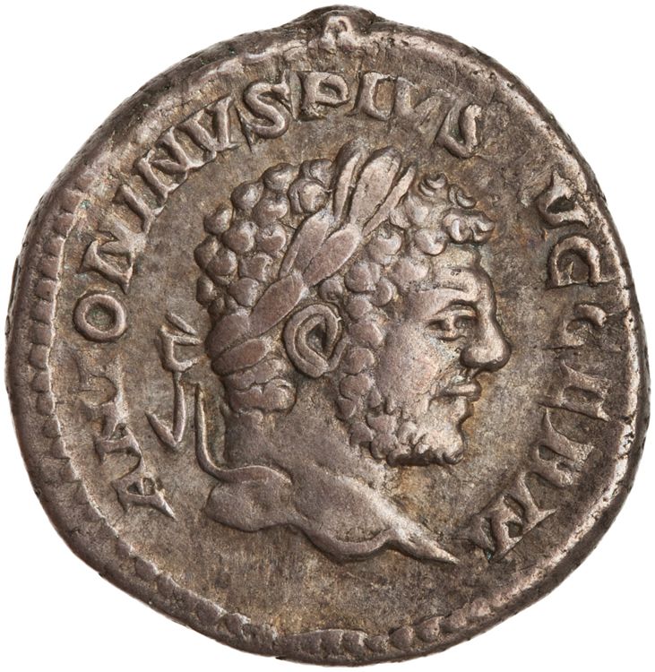 RIC IV Caracalla 307, аверс, American Numismatic Society (ans)
