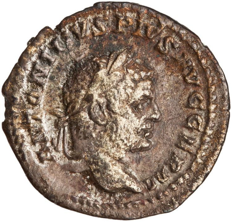 RIC IV Caracalla 293D, аверс, American Numismatic Society (ans)