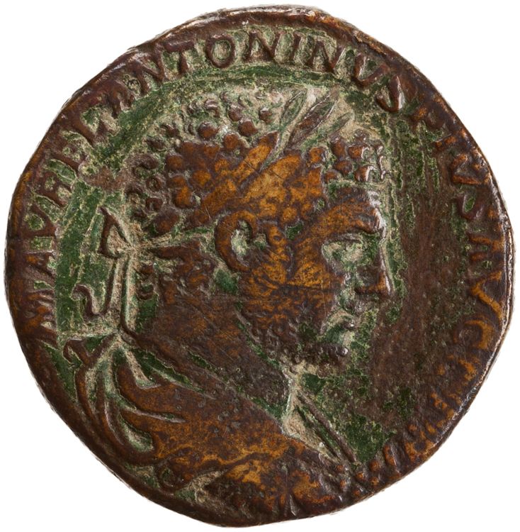 RIC IV Caracalla 527, obverse, American Numismatic Society (ans)
