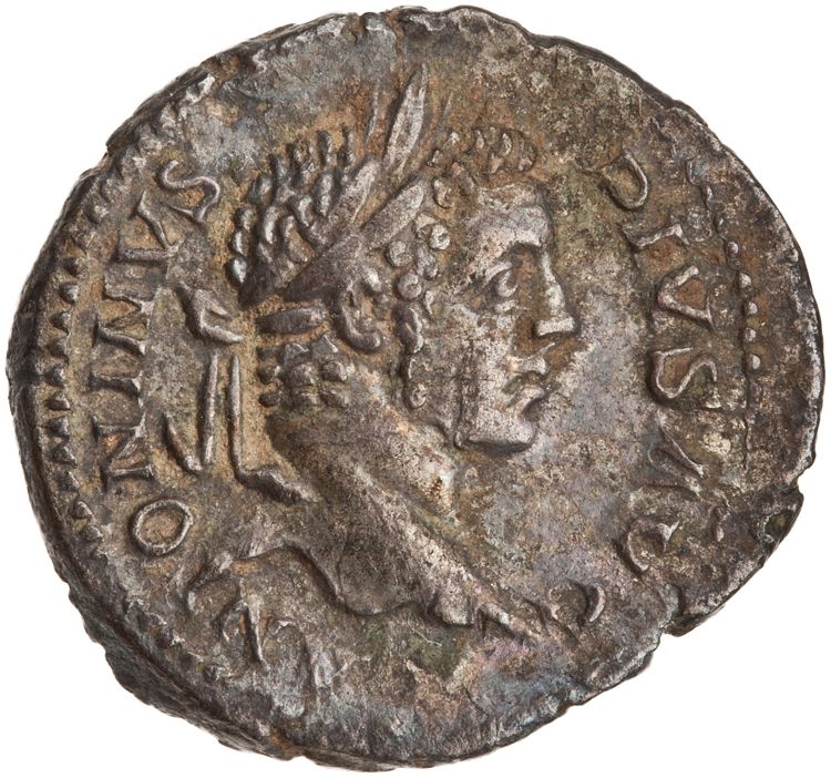 RIC IV Caracalla 108, аверс, American Numismatic Society (ans)