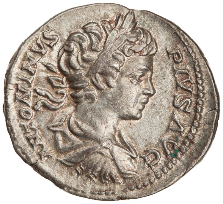 RIC IV Caracalla 54A, аверс, American Numismatic Society (ans)