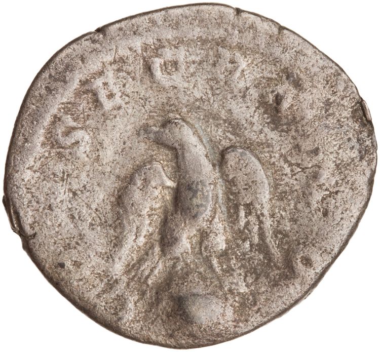 RIC IV Caracalla 191C, реверс, American Numismatic Society (ans)