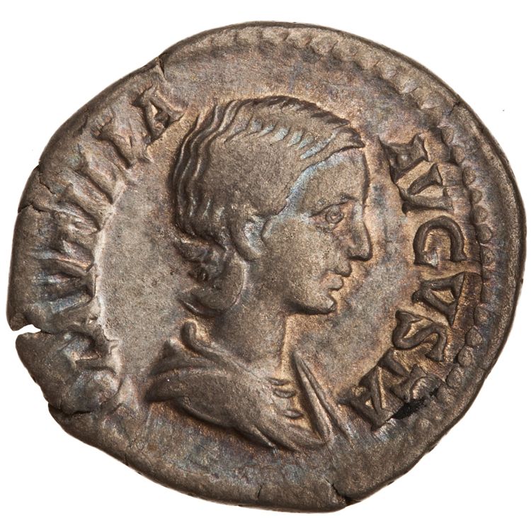 RIC IV Caracalla 367 (denarius), аверс, American Numismatic Society (ans)