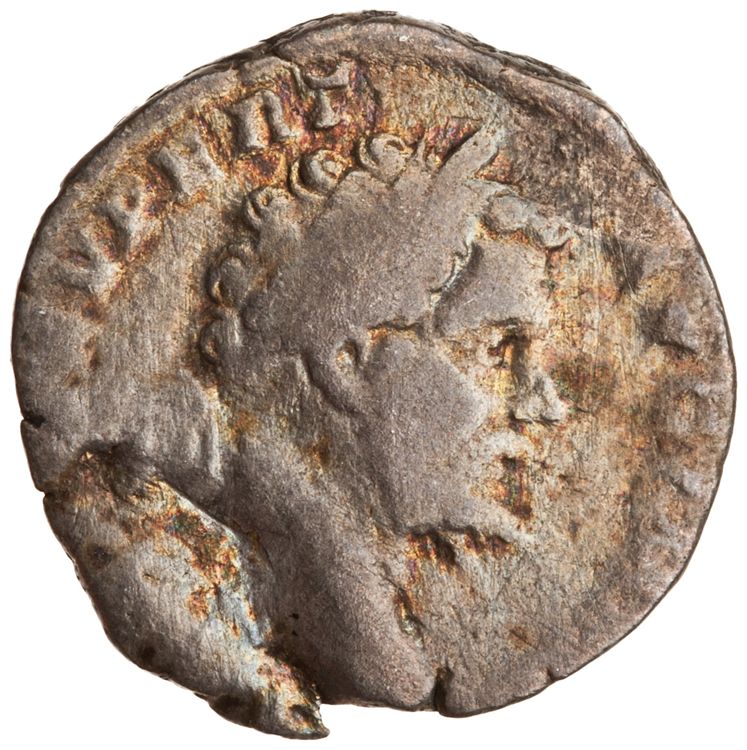 RIC IV Septimius Severus 46, аверс, American Numismatic Society (ans)