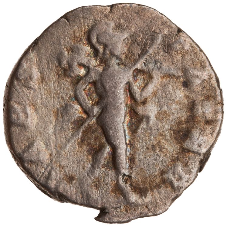 RIC IV Septimius Severus 46, реверс, American Numismatic Society (ans)