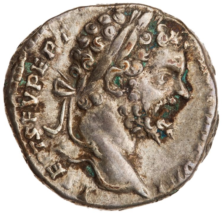 RIC IV Septimius Severus 86 (denarius), аверс, American Numismatic Society (ans)