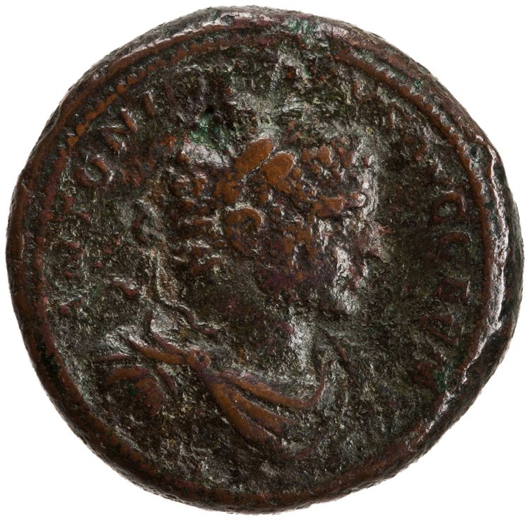 RIC IV Caracalla 554B, аверс, American Numismatic Society (ans)