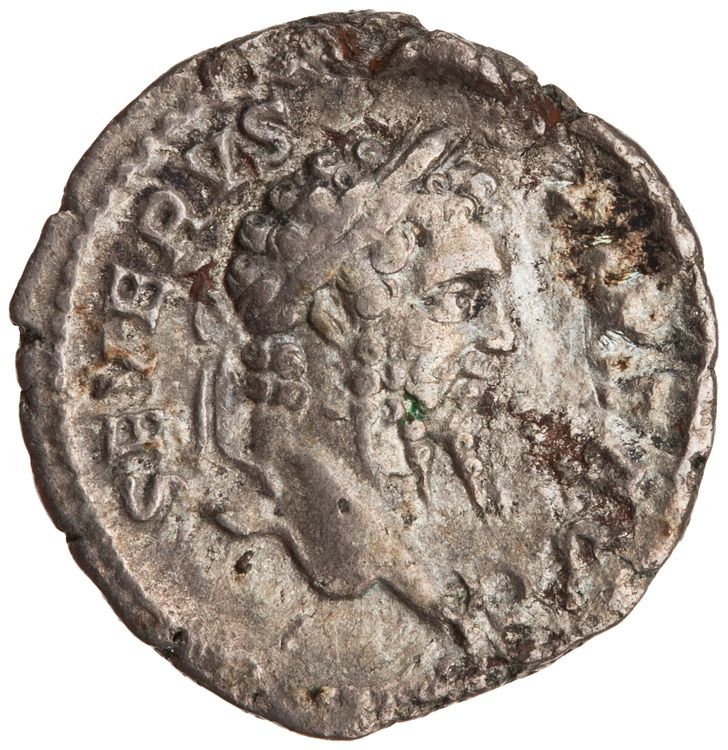 RIC IV Septimius Severus 196 (denarius), obverse, American Numismatic Society (ans)