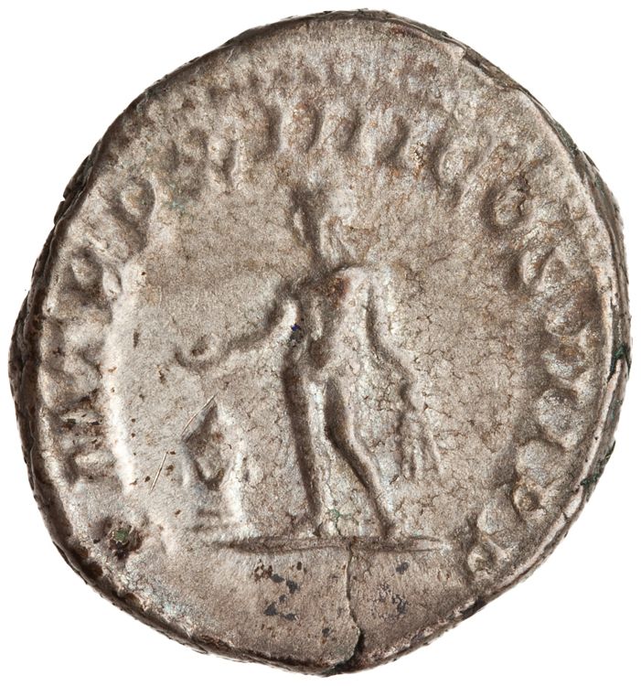 RIC IV Septimius Severus 201, реверс, American Numismatic Society (ans)