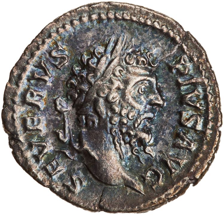 RIC IV Septimius Severus 228, аверс, American Numismatic Society (ans)