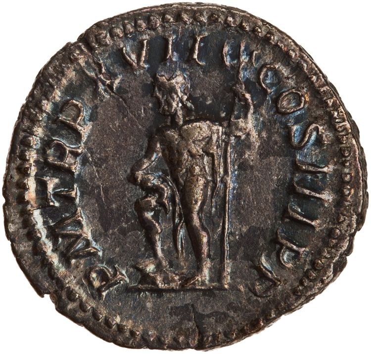 RIC IV Septimius Severus 228, реверс, American Numismatic Society (ans)