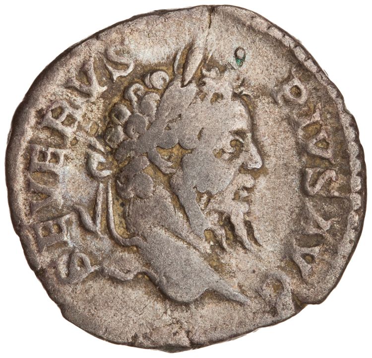 RIC IV Septimius Severus 299 (denarius), аверс, American Numismatic Society (ans)