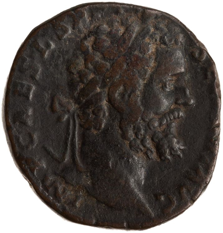 RIC IV Septimius Severus 651, аверс, American Numismatic Society (ans)