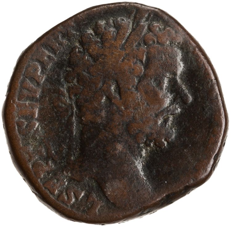 RIC IV Septimius Severus 693, аверс, American Numismatic Society (ans)