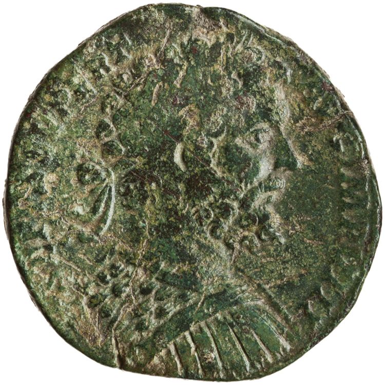 RIC IV Septimius Severus 719b, аверс, American Numismatic Society (ans)