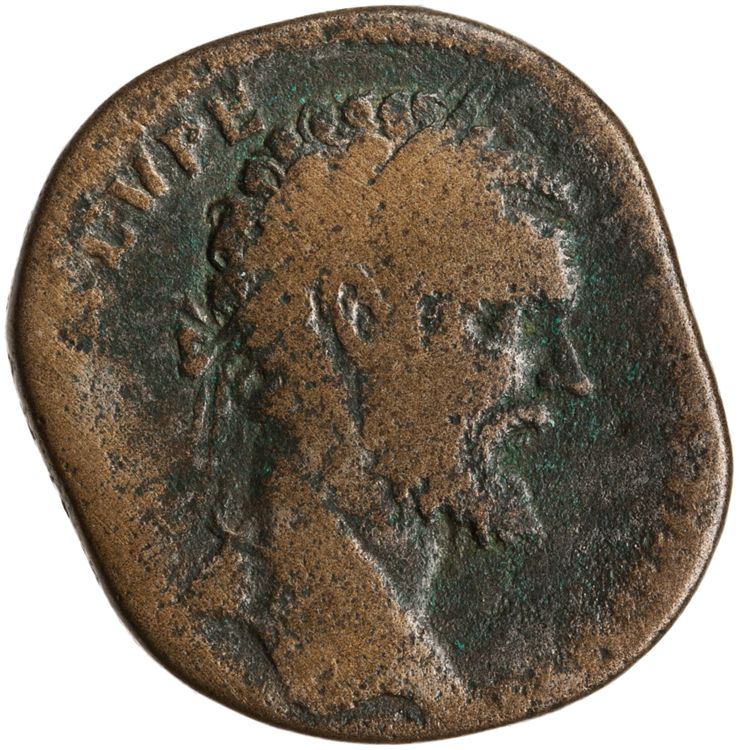 аверс RIC IV Septimius Severus 706A