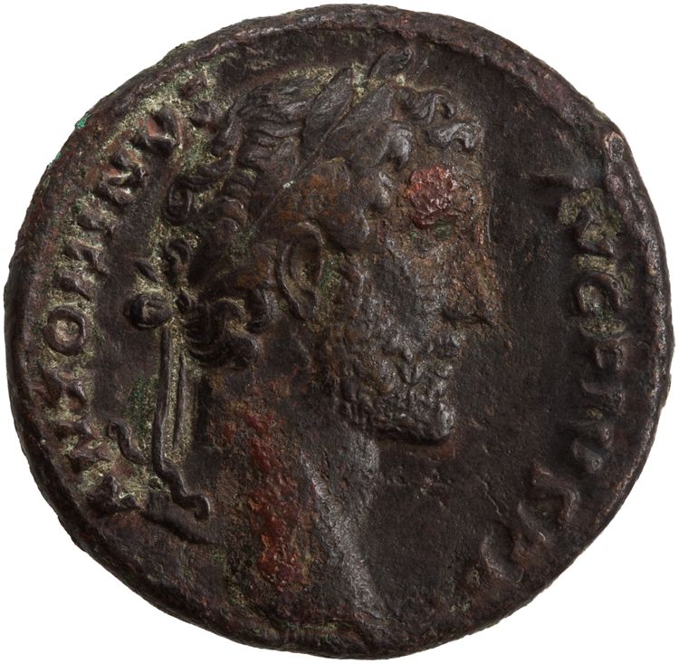 RIC III Antoninus Pius 700A, аверс, American Numismatic Society (ans)