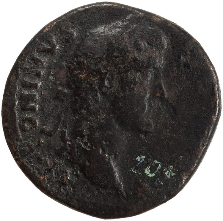 RIC III Antoninus Pius 1206B, аверс, American Numismatic Society (ans)