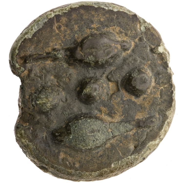 RRC 25/7, аверс, American Numismatic Society (ans)