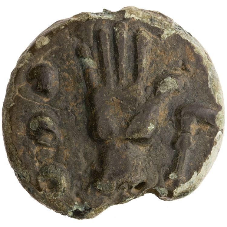 RRC 25/7, реверс, American Numismatic Society (ans)