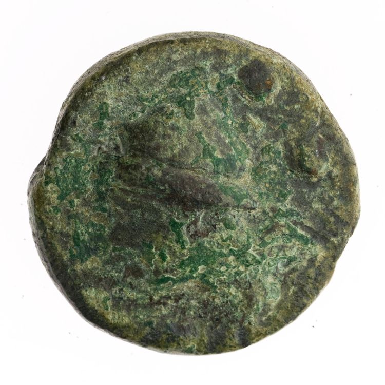 RRC 18/5, аверс, American Numismatic Society (ans)
