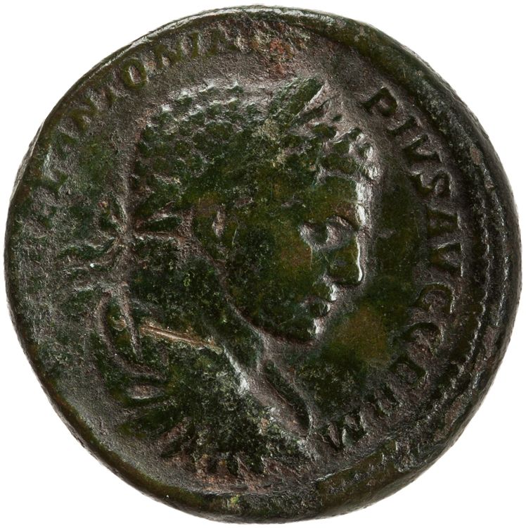 RIC IV Caracalla 544, аверс, American Numismatic Society (ans)