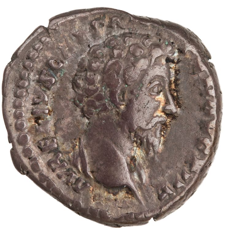RIC III Antoninus Pius 479B, аверс, American Numismatic Society (ans)