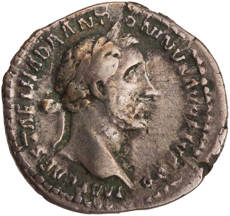 RIC III Antoninus Pius 210, аверс, American Numismatic Society (ans)