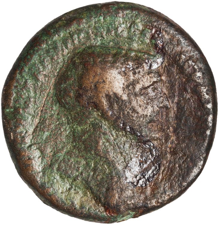RIC II Trajan 561, obverse, American Numismatic Society (ans)