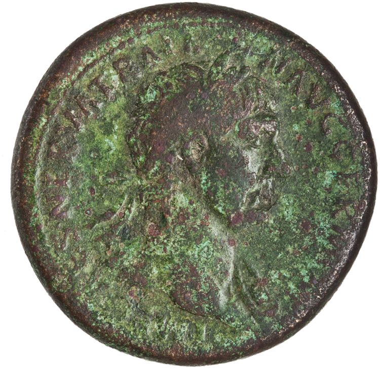 RIC II Trajan 401, obverse, American Numismatic Society (ans)