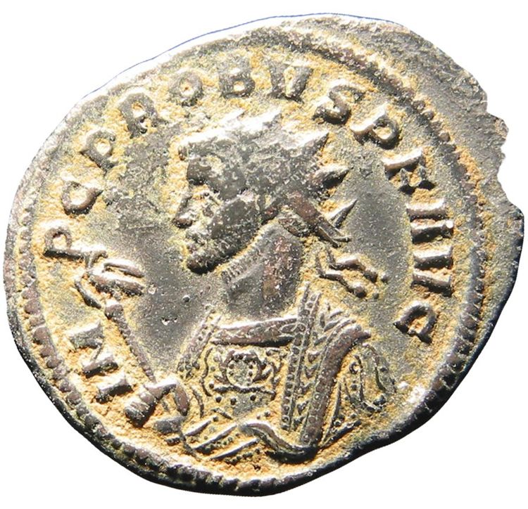 RIC V Probus 436, аверс, American Numismatic Society (ans)