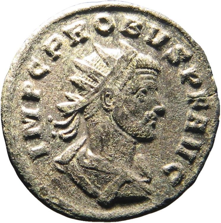 RIC V Probus 733, аверс, American Numismatic Society (ans)
