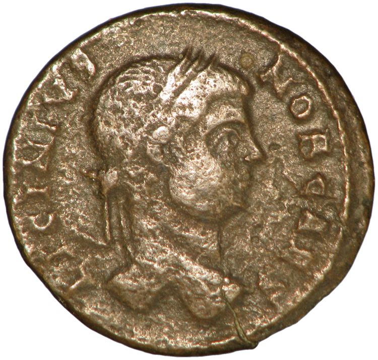 RIC VII Arelate 242, obverse, American Numismatic Society (ans)