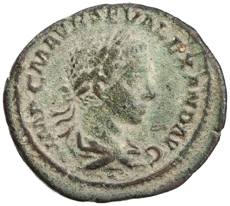 RIC IV Severus Alexander 14c, аверс, American Numismatic Society (ans)