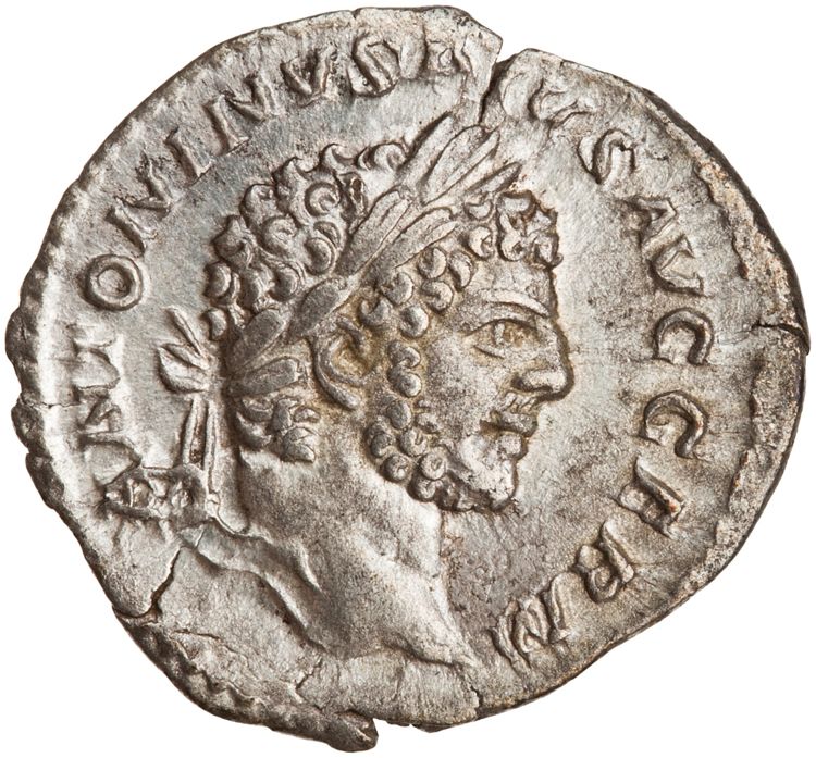 RIC IV Caracalla 268, аверс, American Numismatic Society (ans)