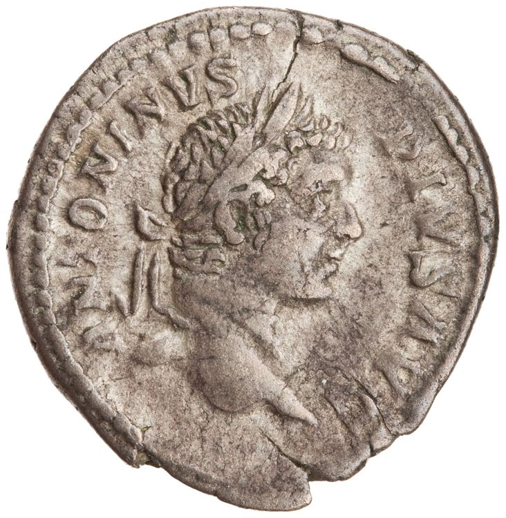 RIC IV Caracalla 153, obverse, American Numismatic Society (ans)