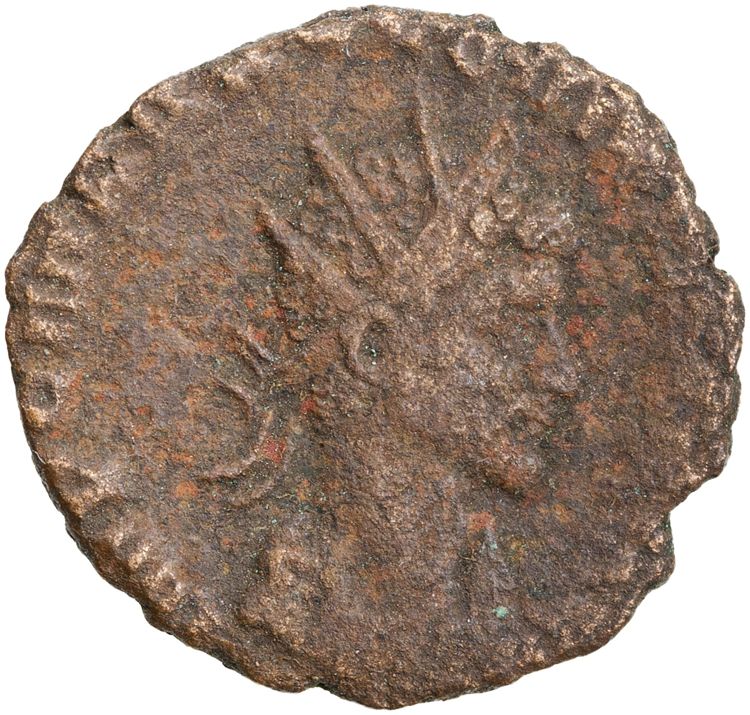 RIC V Quintillus 33, аверс, American Numismatic Society (ans)