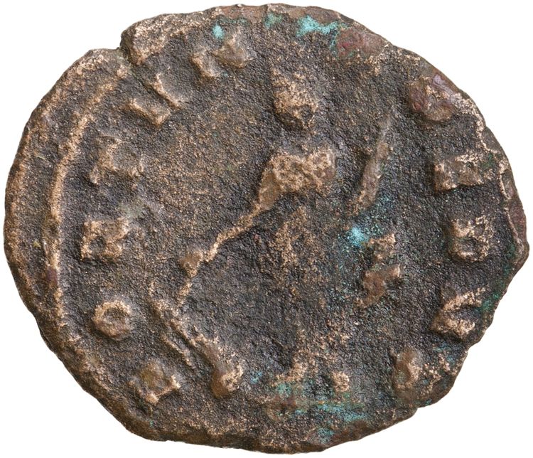 RIC V Quintillus 20, реверс, American Numismatic Society (ans)