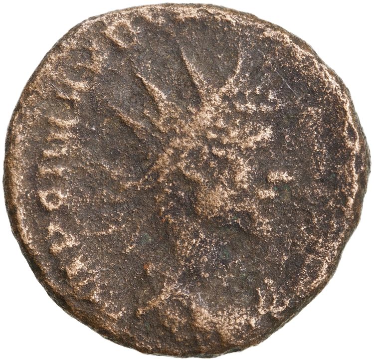 RIC V Quintillus 20, аверс, American Numismatic Society (ans)