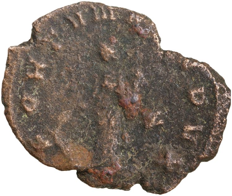 RIC V Quintillus 20, реверс, American Numismatic Society (ans)