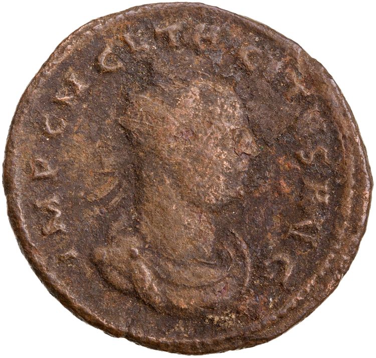 RIC V Tacitus 167, аверс, American Numismatic Society (ans)