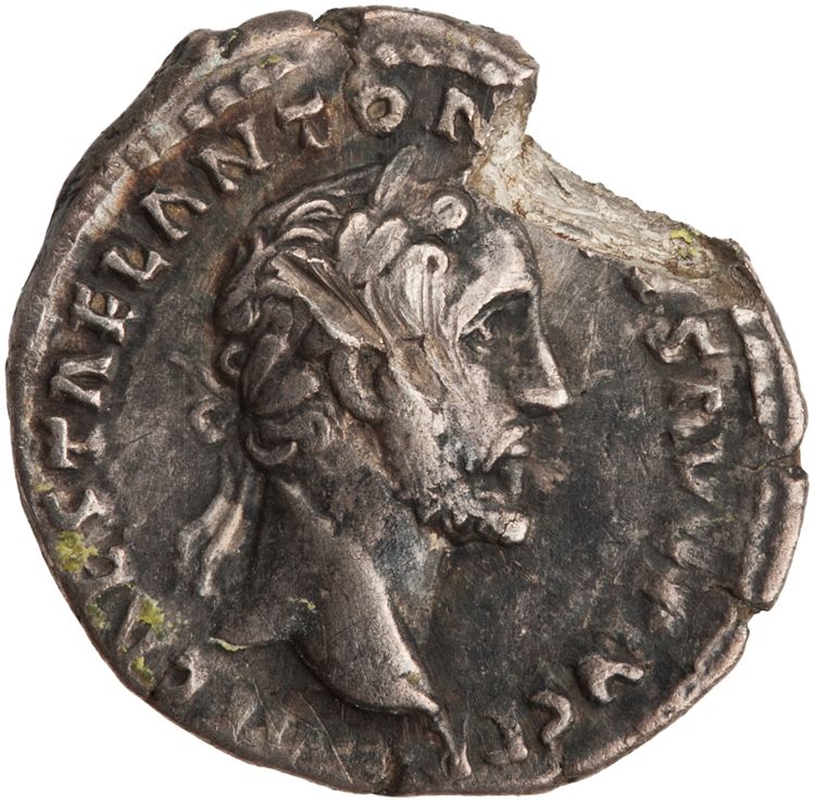 RIC III Antoninus Pius 202b, аверс, American Numismatic Society (ans)