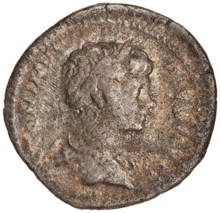 RIC IV Caracalla 54B, аверс, American Numismatic Society (ans)
