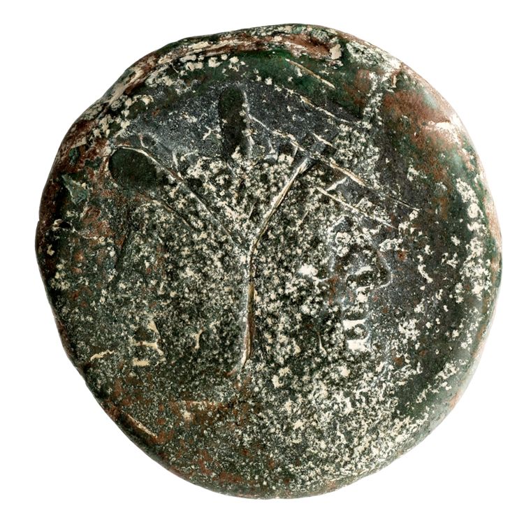RRC 141/2a, obverse, American Numismatic Society (ans)