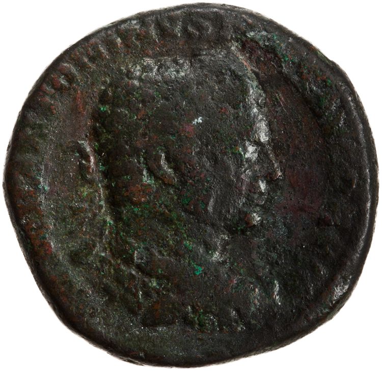 RIC IV Caracalla 564C, аверс, American Numismatic Society (ans)