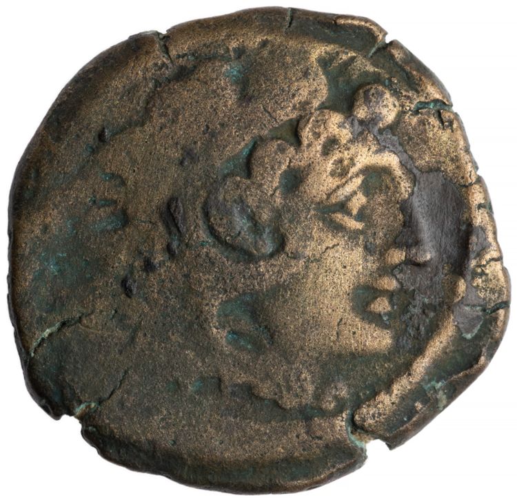 RRC 203/5, аверс, American Numismatic Society (ans)
