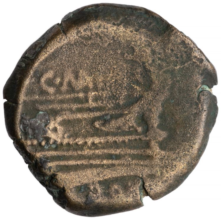RRC 203/5, реверс, American Numismatic Society (ans)