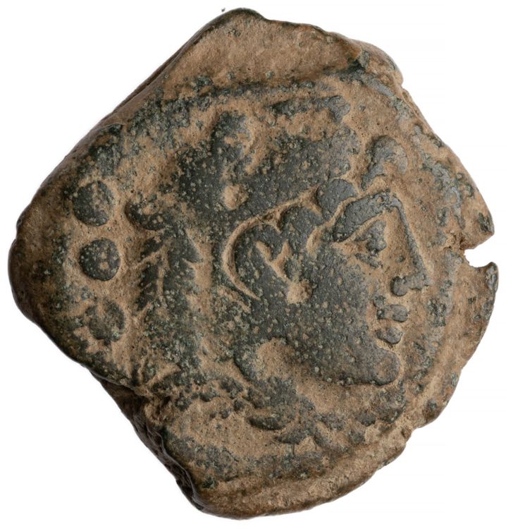 RRC 204/5, аверс, American Numismatic Society (ans)