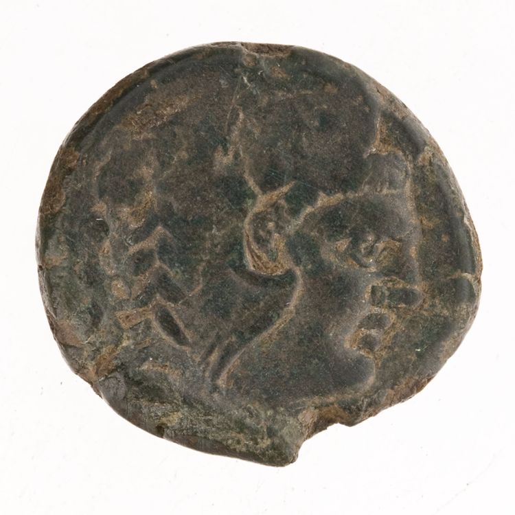 RRC 232/4, аверс, American Numismatic Society (ans)